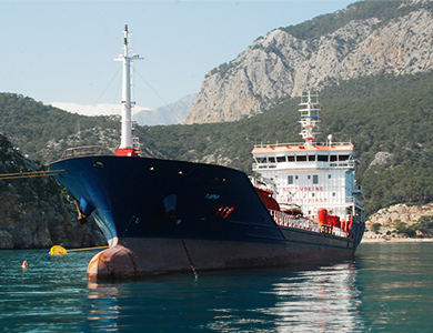 T.Leyla